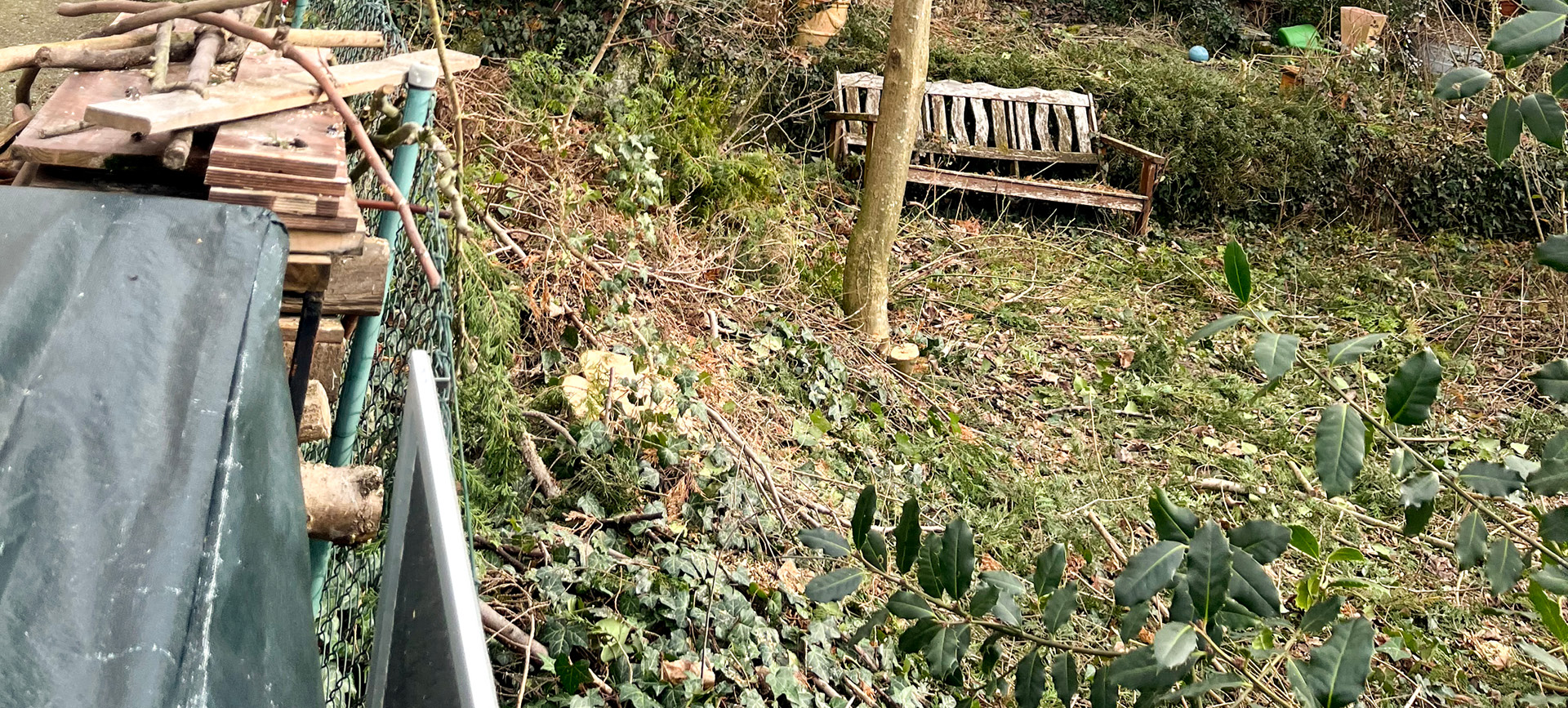 Rodungsarbeiten AGA Hof- Haus- und Gartenservice